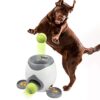 Eighty-Lanzador-de-pelotas-de-tenis-para-mascotas-juguete-de-lanzamiento-lanzador-automatico-de-bolas-de-juguete-para-perro-lanzador-automatico-de-bolas-con-2-bolas-y-cuchara-0-0