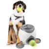 Eighty-Lanzador-de-pelotas-de-tenis-para-mascotas-juguete-de-lanzamiento-lanzador-automatico-de-bolas-de-juguete-para-perro-lanzador-automatico-de-bolas-con-2-bolas-y-cuchara-0-5