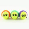 Noband-JSFGFSDH-Lanzador-de-bolas-para-perro-para-mascotas-juguete-de-tenis-lanzador-de-pesas-molar-interactivo-entretenimiento-para-cachorros-suministros-de-entrenamiento-0-0